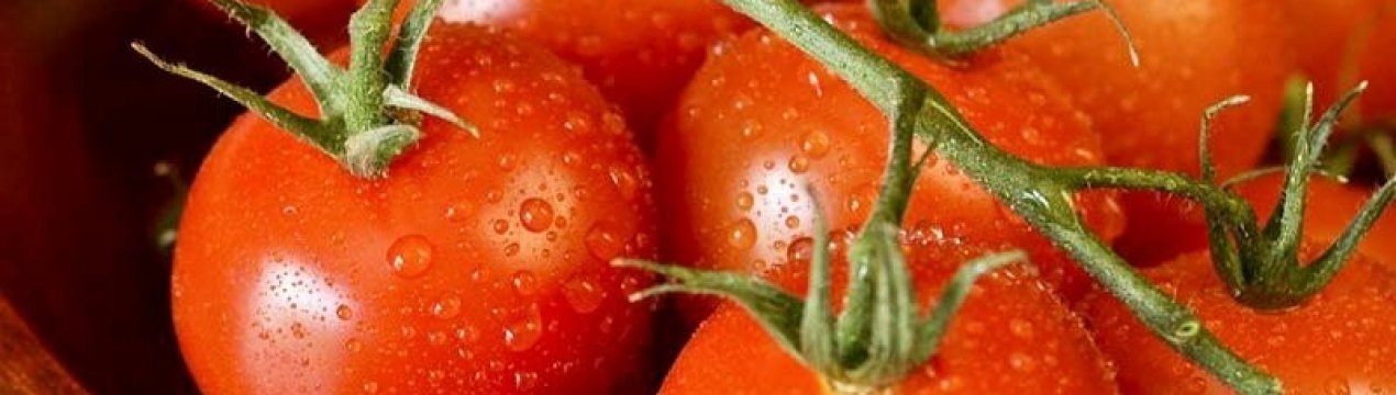 Антоциановые сорта что это. . Антоциановые сорта что это фото. Антоциановые сорта что это-. картинка Антоциановые сорта что это. картинка