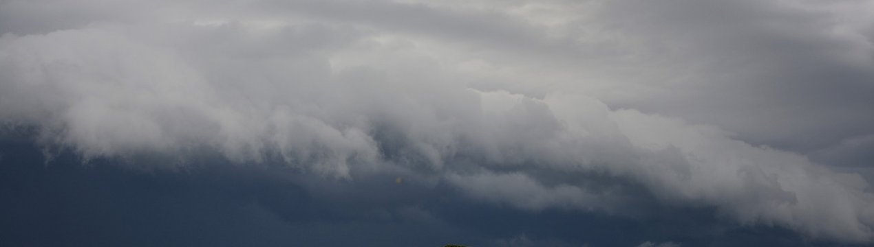 В Іспанії урагани завдали серйозної шкоди сільському господарству