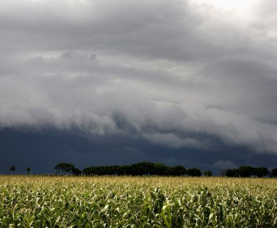 В Іспанії урагани завдали серйозної шкоди сільському господарству