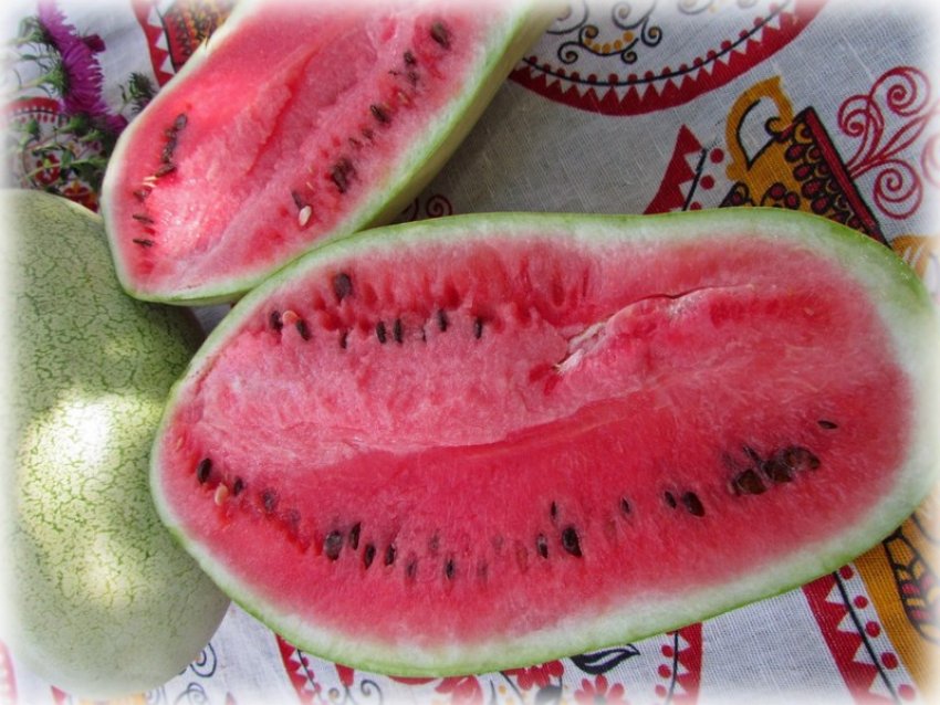 Медовий гігант Медовий гігант