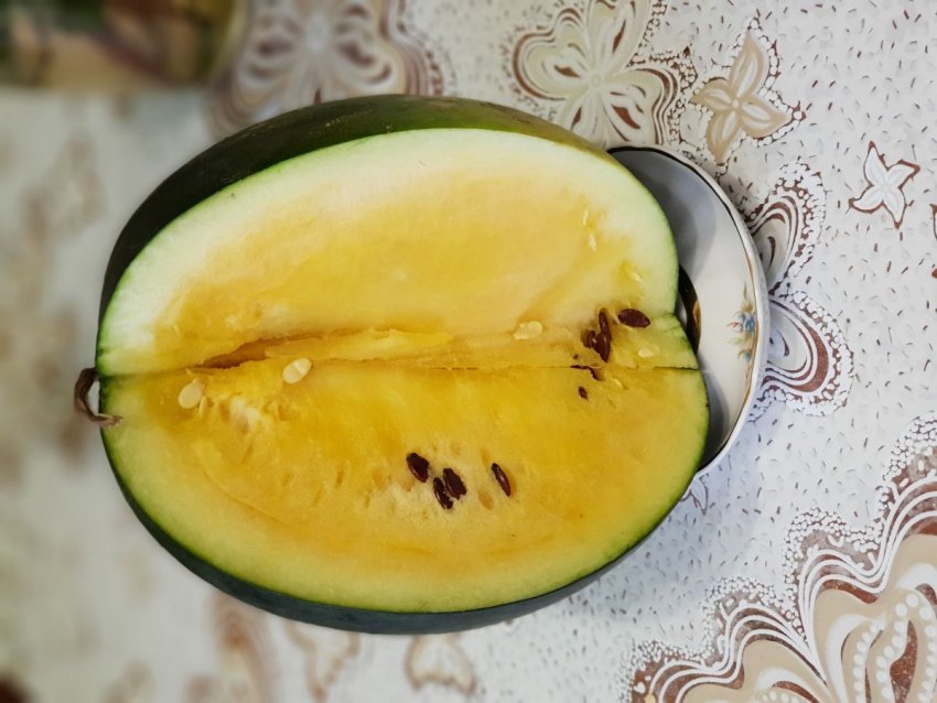 Диво ягода Диво ягода