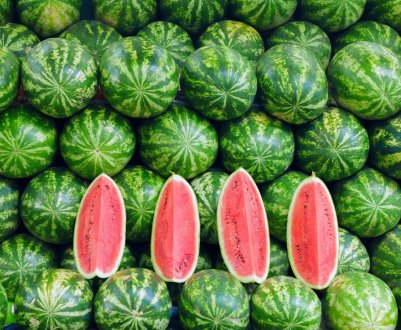 Еволюція кавуна: неперебувалі гібриди або дикий вид?