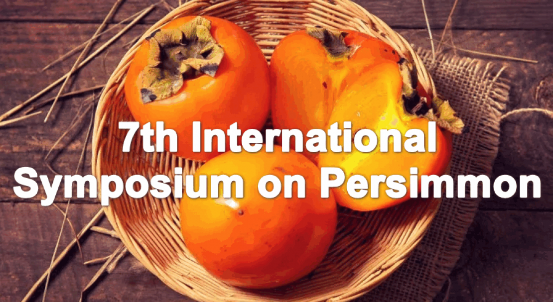7th International Symposium on Persimmon