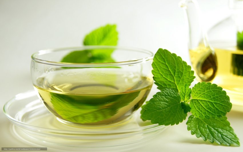 М`ятний чай від нетравлення шлунка М`ятний чай від нетравлення шлунка
