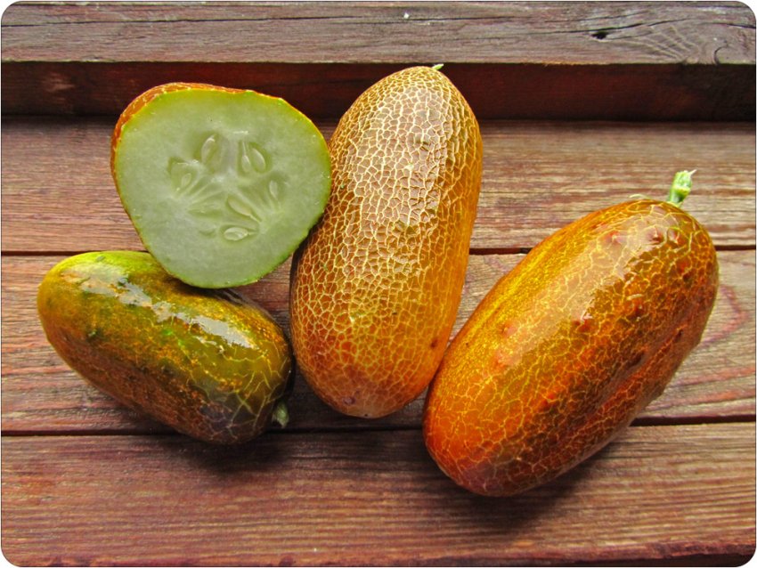 Перезрілі овочі Перезрілі овочі