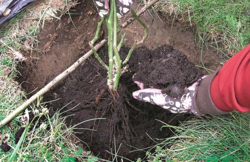 Вибір місця для посадки Вибір місця для посадки