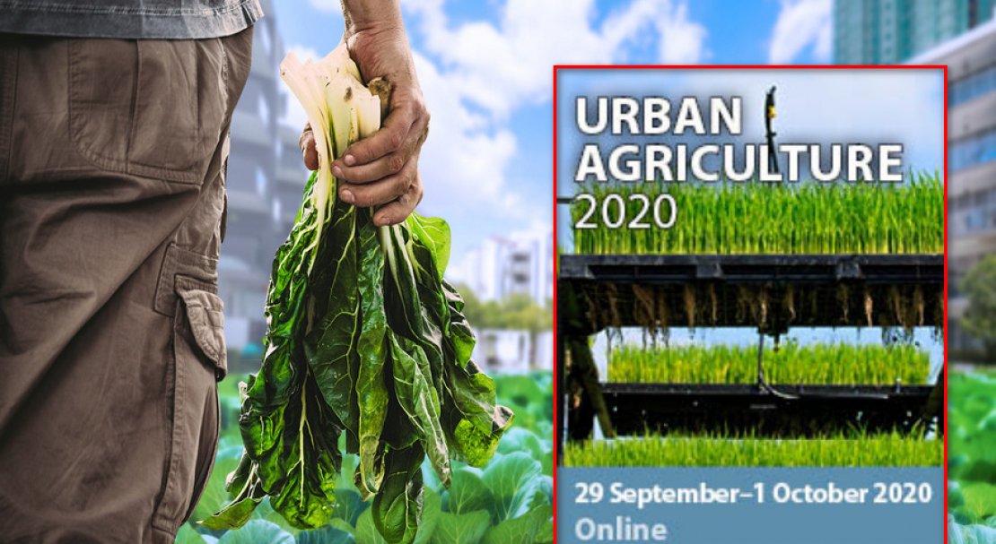 Urban Agriculture 2020