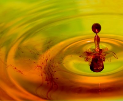 Застосування йоду на дачі: 10 несподіваних способів використання йоду