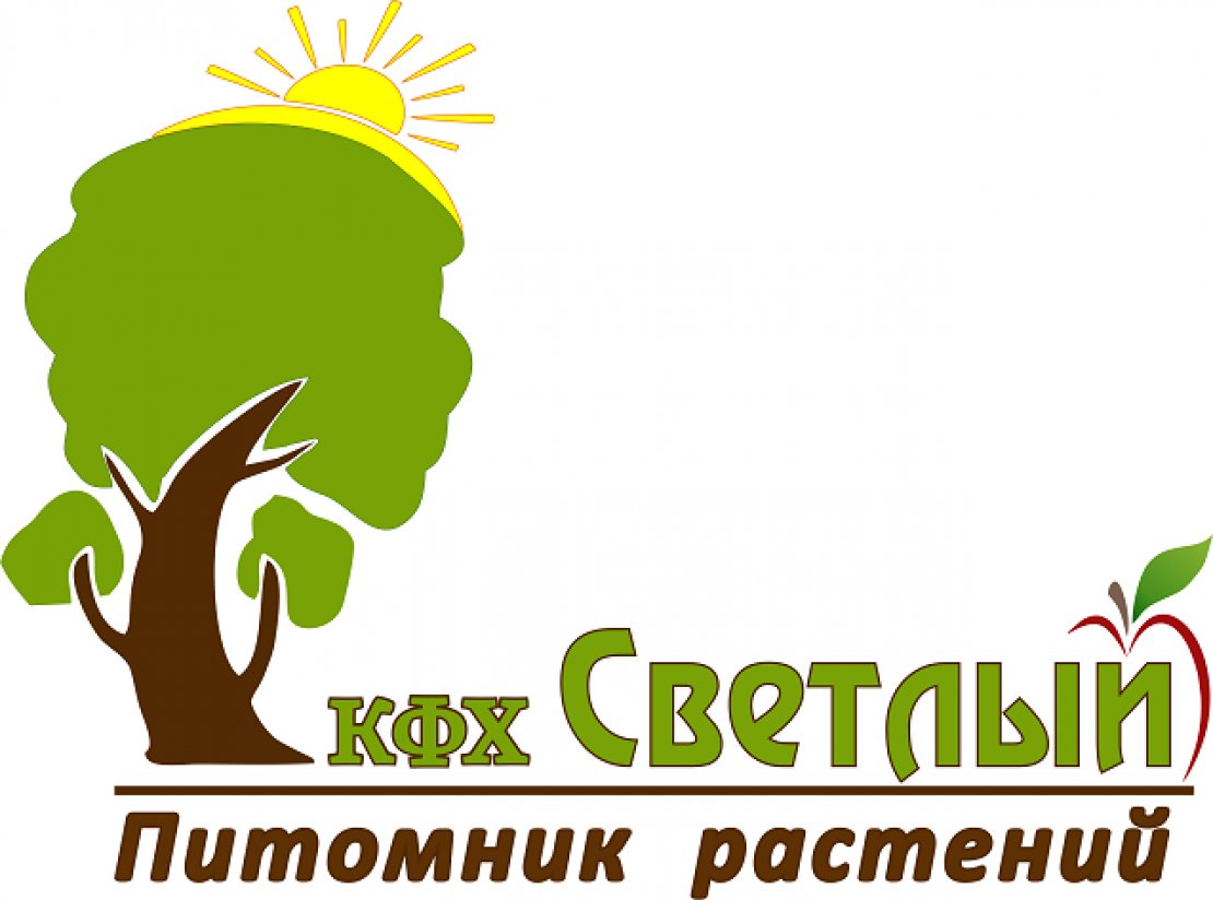 КФХ «Светлый»