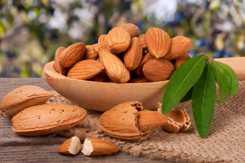 Мигдаль Мигдаль