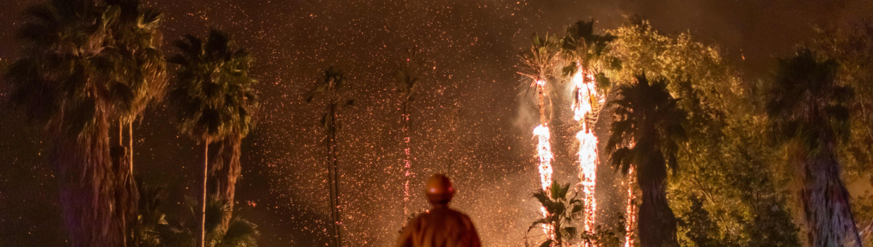 Фермери коментують пожежі в Каліфорнії