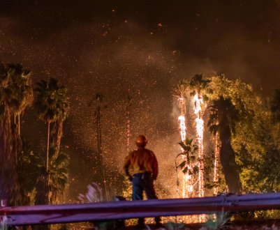 Фермери коментують пожежі в Каліфорнії