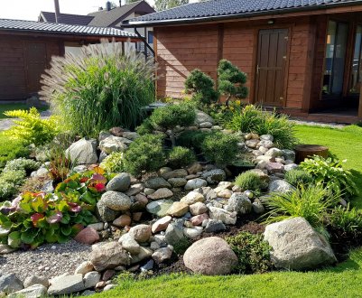 Рослини для альпійського саду: які рослини не потрібно на неї саджати