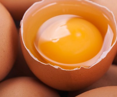 Курячі яйця. Їх будова і хімічний склад