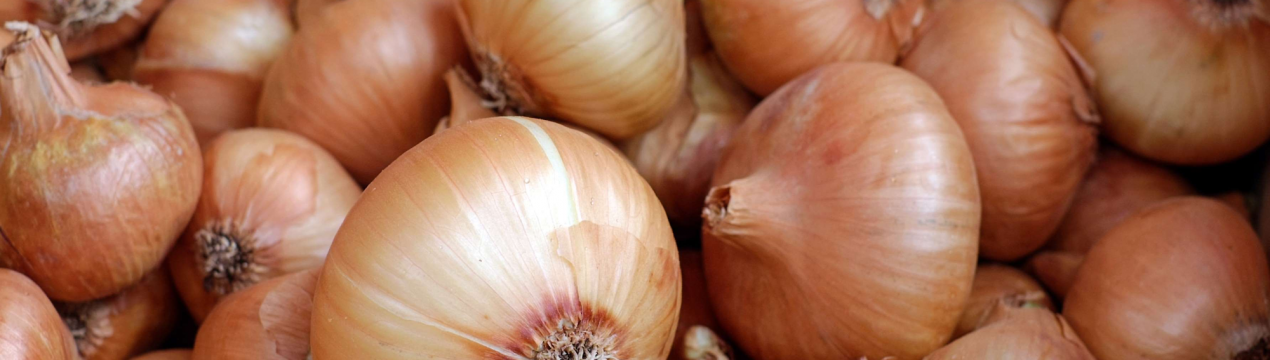 Настає нестабільний період для індійської цибулі