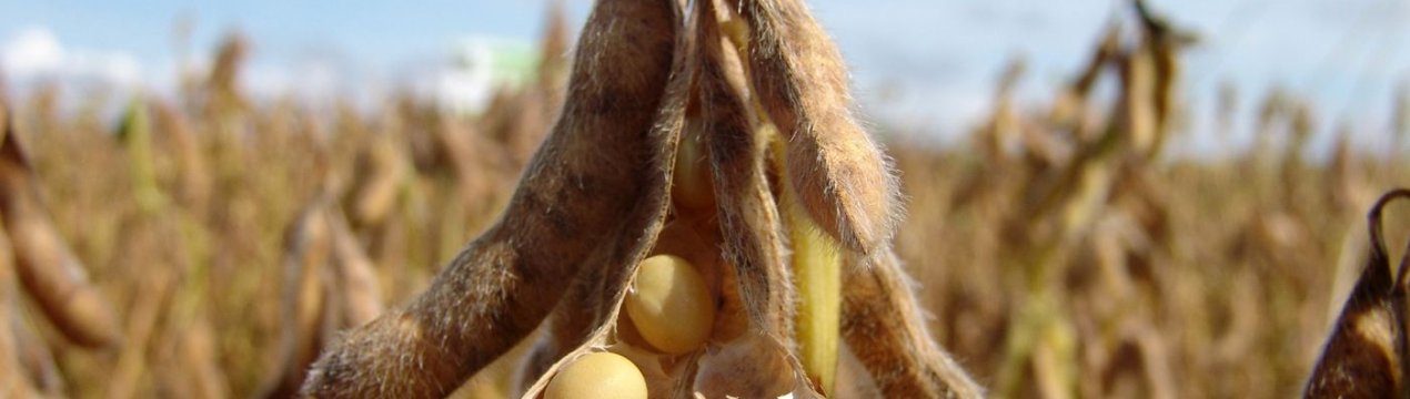 Небраска переживає посушливі умови