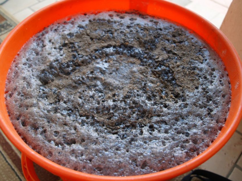 Дріжджі з хлібом Дріжджі з хлібом