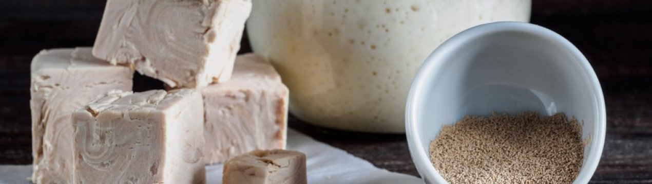 Дріжджі — супер добриво для саду та городу