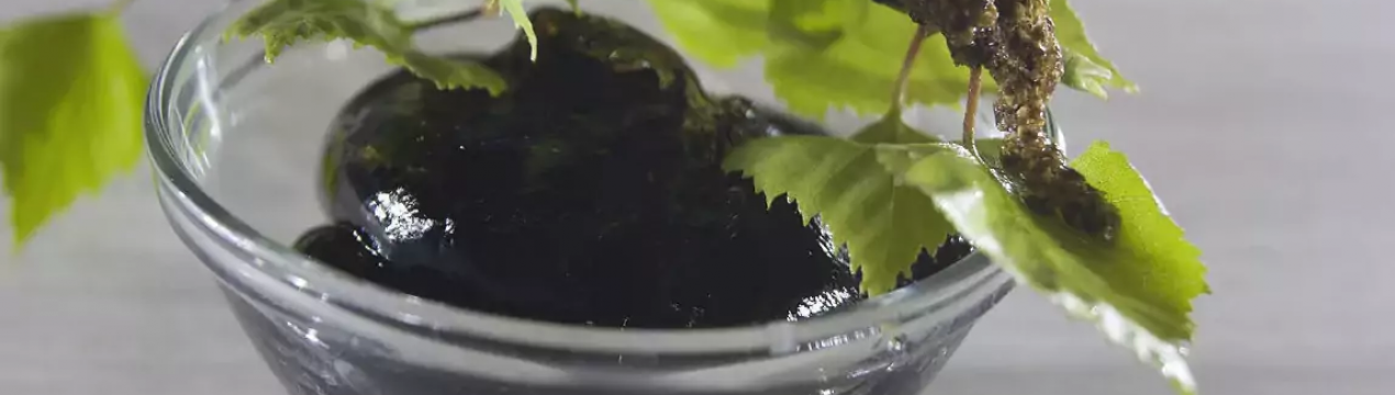 10 способів застосування березового дьогтю, про які мало хто знає