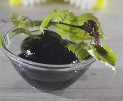 10 способів застосування березового дьогтю, про які мало хто знає