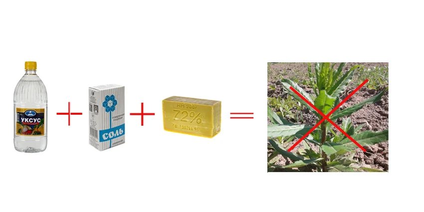 Оцет + сіль + господарське мило Оцет + сіль + господарське мило