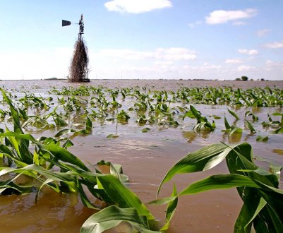 В Бангладеш великі втрати урожаю внаслідок повені в Гопалганджі