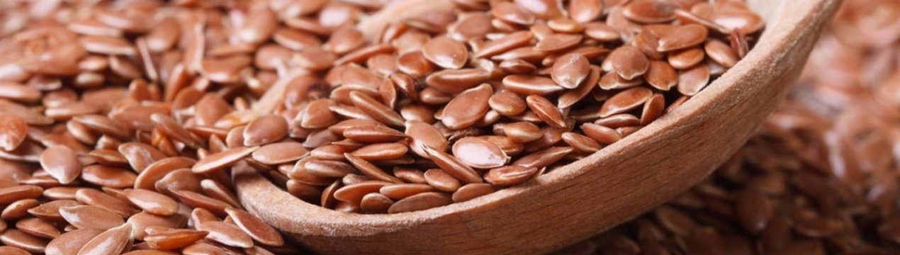 Бoльшoй сбoр нa oгoрoдe: сoбираeм в aвгустe сeмeнa любимых сoртoв