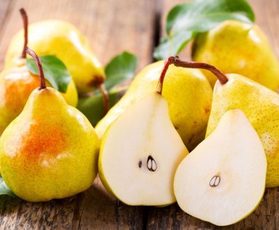 Почався збір врожаю груш Абате