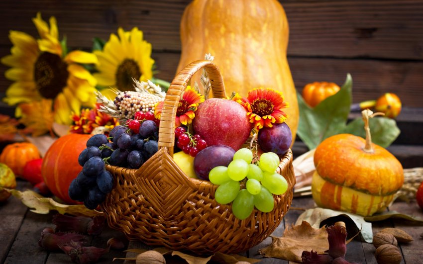 Лунний календар садівника-городника на вересень 2020 Лунний календар садівника-городника на вересень 2020