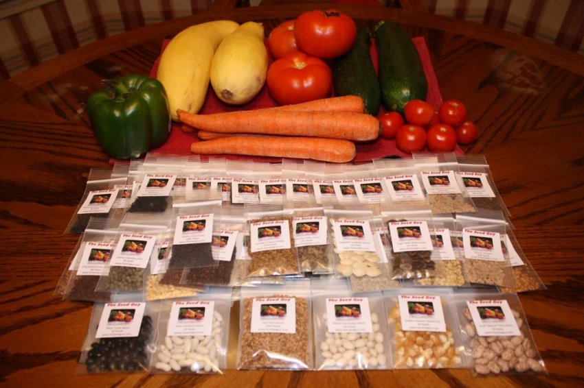 Зберігання насіння в поліетиленовому пакеті Зберігання насіння в поліетиленовому пакеті