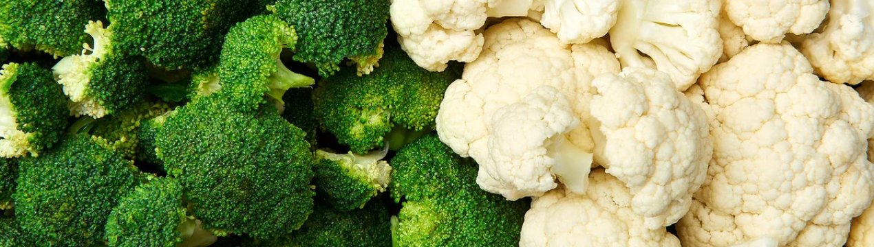 На півдні Італії почали озиму посадку овочів