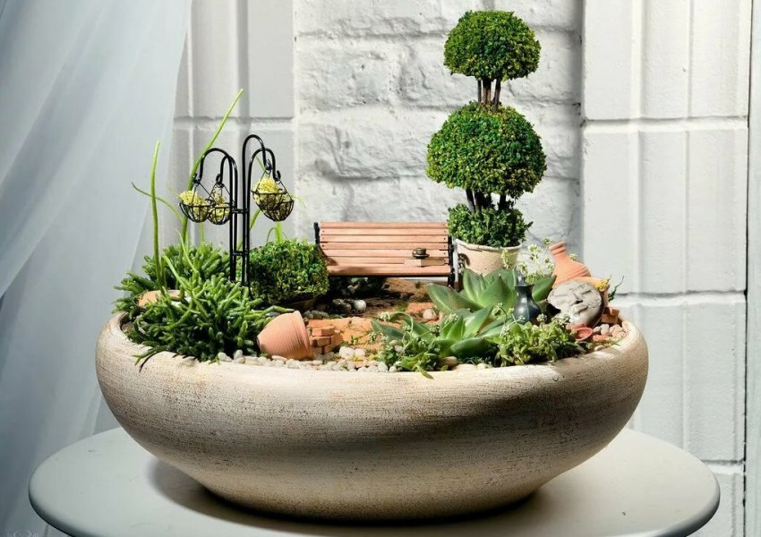 Сад в горщику