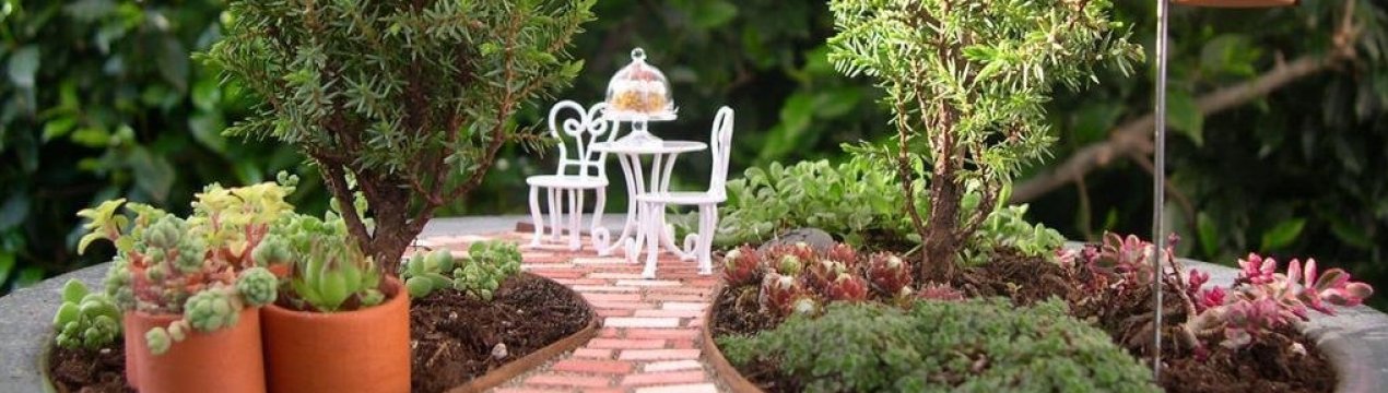 Це те, що прикрасить ваш дім у будь-яку пору року: сад у горщику — що це таке і як зробити власноруч