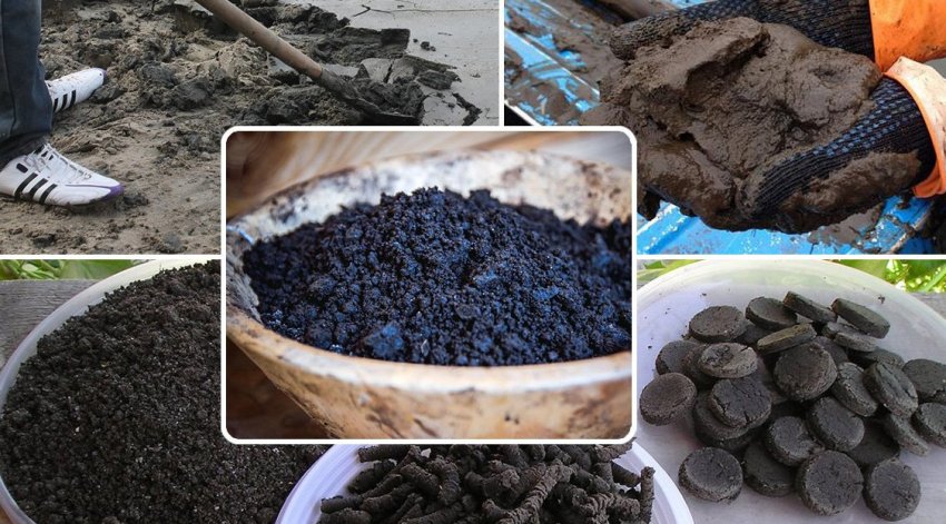 Сапропель для саду Сапропель для саду