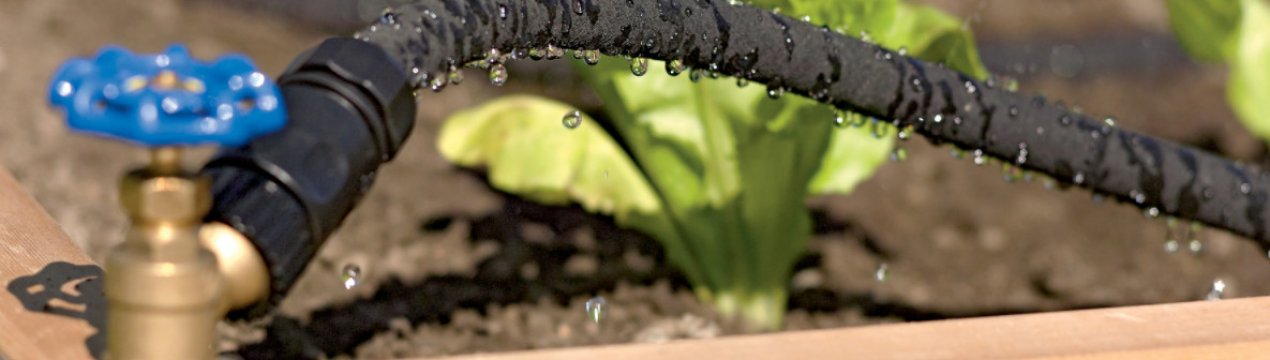 Крапельний полив власноруч: 3 варіанти виготовлення з підручних матеріалів
