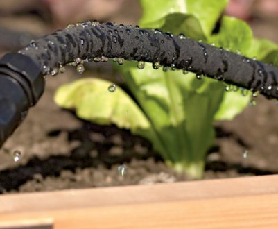 Крапельний полив власноруч: 3 варіанти виготовлення з підручних матеріалів