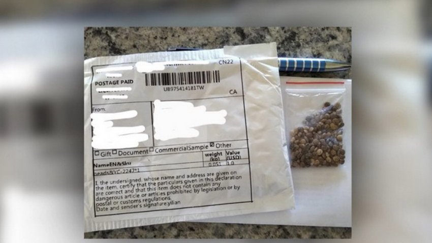 посилки з небезпечними насіннями посилки з небезпечними насіннями