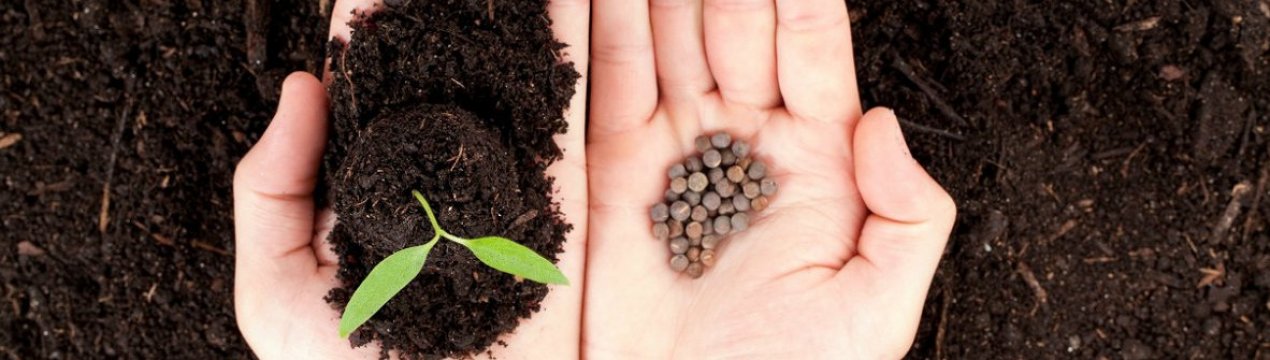 Обережно, небезпечні насіння в поштових скриньках