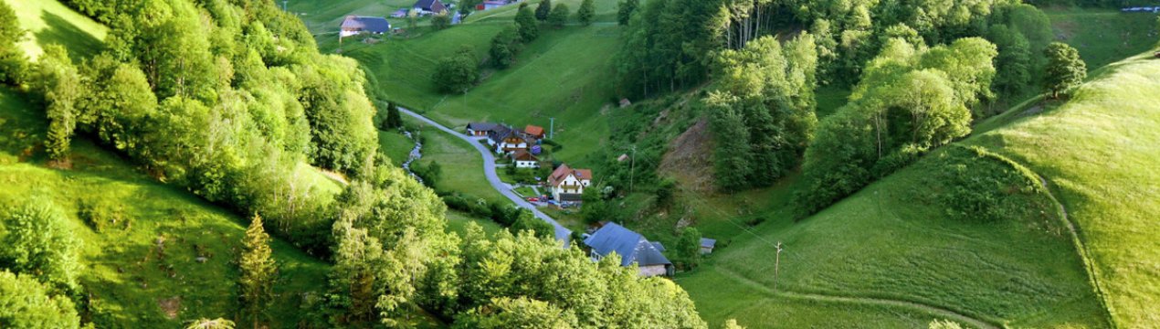 Лісовласники Німеччини вимагають грошових виплат за свій внесок у захист клімату