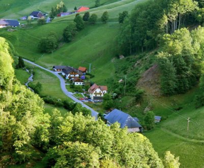 Лісовласники Німеччини вимагають грошових виплат за свій внесок у захист клімату