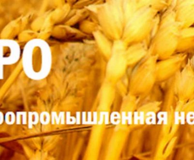 Виставки БЕЛАГРО, БЕЛФЕРМА і БЕЛПРОДУКТ відбудуться з 29 вересня по 4 жовтня на новій площі в Мінську