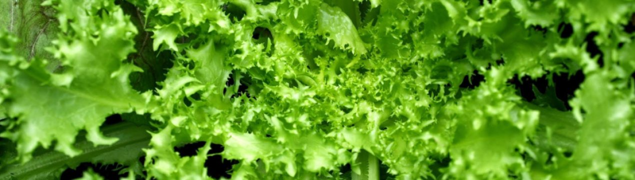 Очікуваний дефіцит, яким продуктом не вдасться посмакувати у вересні