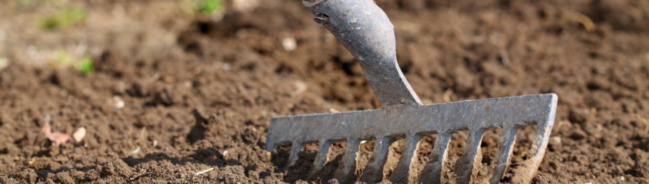 Як підготувати грядки для осінніх посівів, щоб навесні отримати максимальний врожай