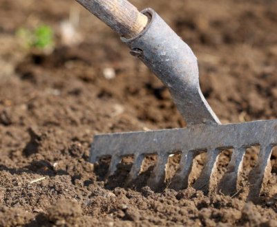 Як підготувати грядки для осінніх посівів, щоб навесні отримати максимальний врожай