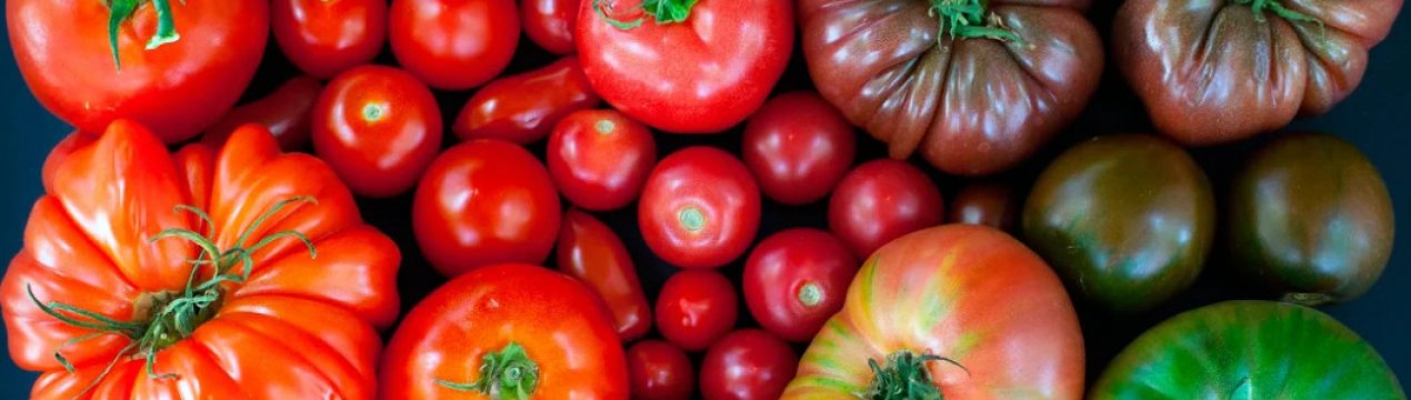 6 сортів томатів, які не варто садити на ділянці