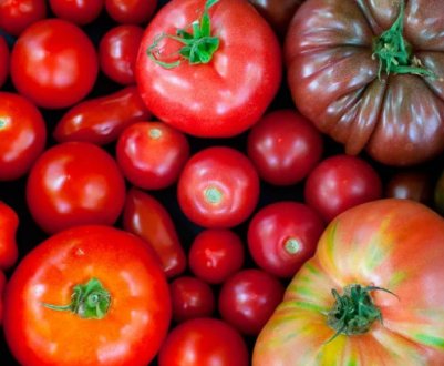 6 сортів томатів, які не варто садити на ділянці