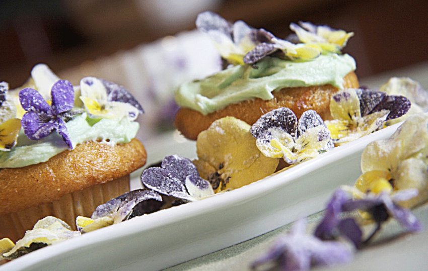 Фіалки у кулінарії Фіалки у кулінарії