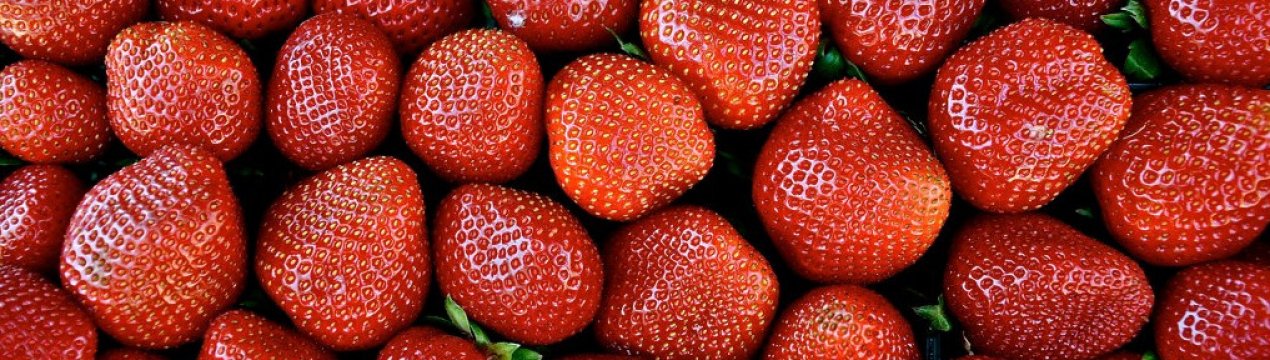 Ціни на бельгійську полуницю — від мінімальних до небезпечно високих