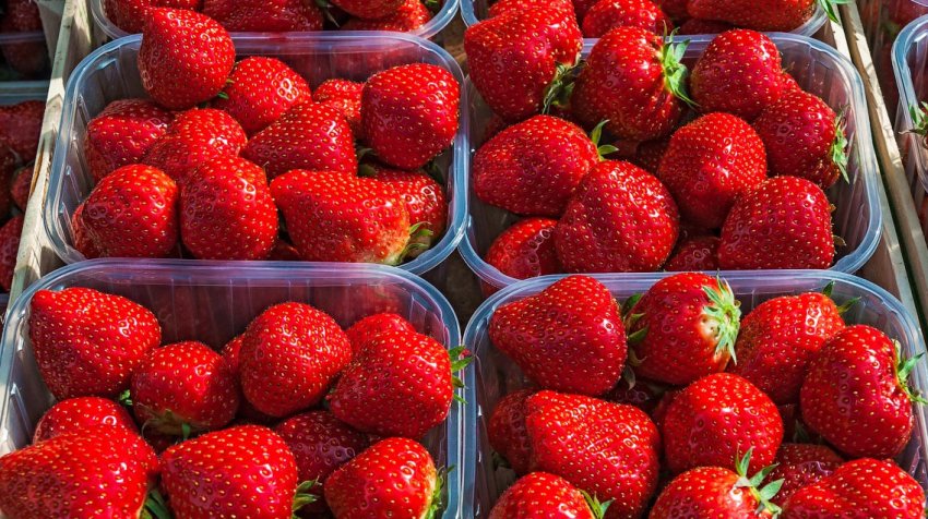 Бельгійська полуниця на ринку