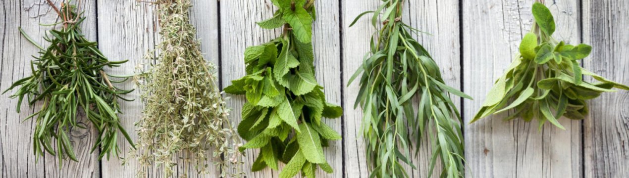 В Франції розпочався сезон сушених трав